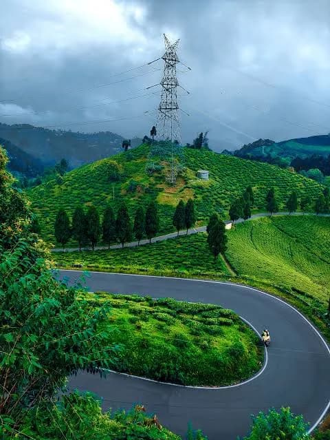 ecorive car on the road